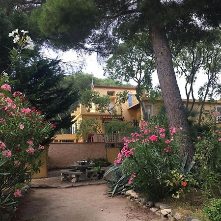 Gites De La Massane Argelès-sur-Mer Exteriér fotografie