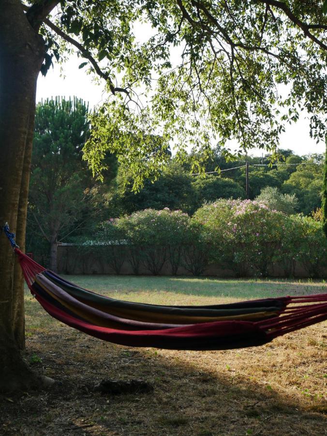 Gites De La Massane Argelès-sur-Mer Exteriér fotografie