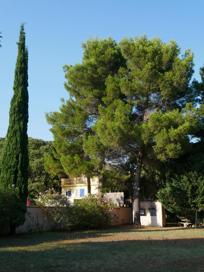 Gites De La Massane Argelès-sur-Mer Exteriér fotografie