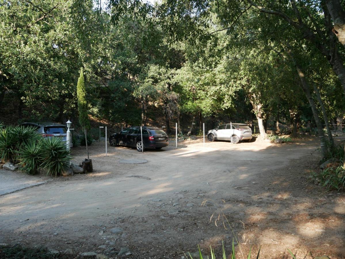 Gites De La Massane Argelès-sur-Mer Exteriér fotografie