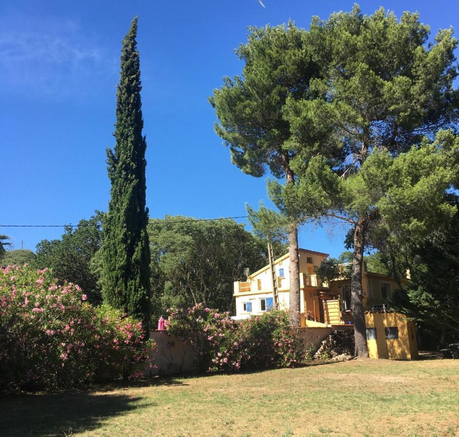 Gites De La Massane Argelès-sur-Mer Exteriér fotografie