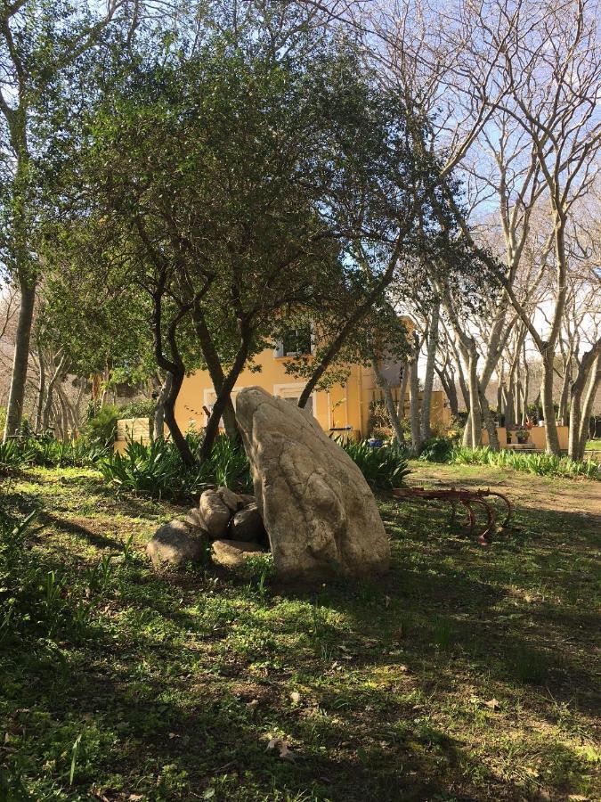 Gites De La Massane Argelès-sur-Mer Exteriér fotografie