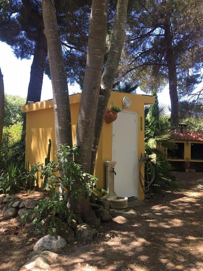 Gites De La Massane Argelès-sur-Mer Exteriér fotografie