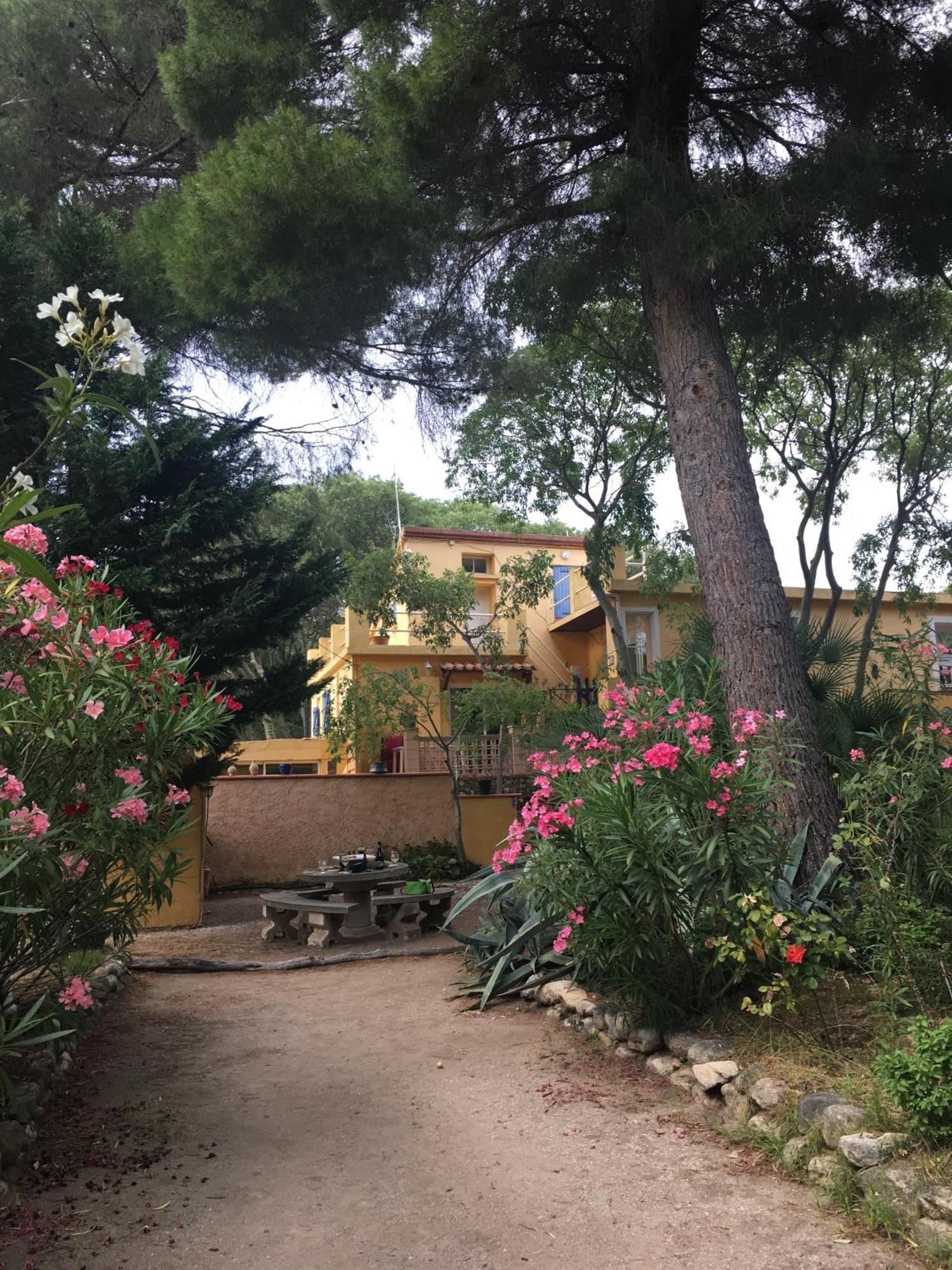 Gites De La Massane Argelès-sur-Mer Exteriér fotografie